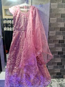 Pink Net Gown