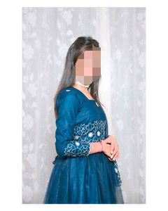 Elegant Blue Ethnic Gown