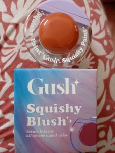 Gush Squishy Blush Paint