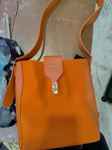 Gucci And Eviour Brand Bag