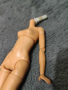 Doll Body