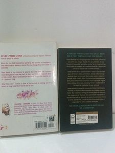 Colleen Hoover Book Bundle