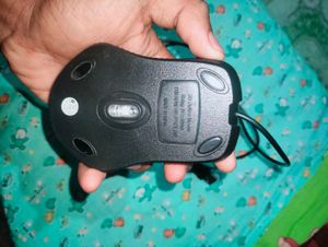 Mouse