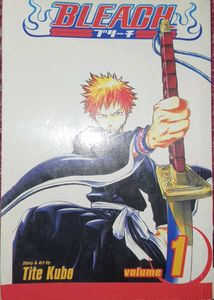 bleach volume 1