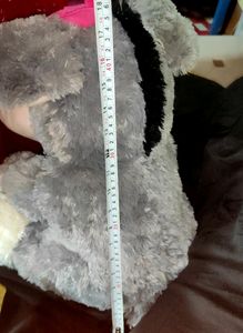 Miss Donkey😄 Big Size