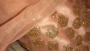 Peach Lehenga with Intricate Embroidery