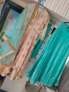 Elegant indo-western skirt set