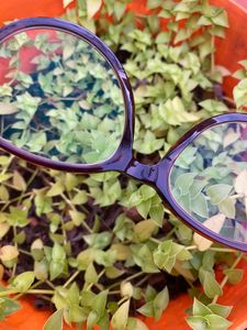 Power Glasses (PRICE DROP)