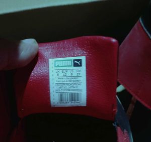 Puma El Rey Milano Loafer Shoes Man