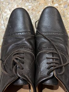 Zara Gents Shoes- Brown