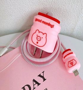 Charger Cover For Apple iPhone