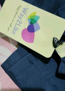 Silk Blend Trouser For Women