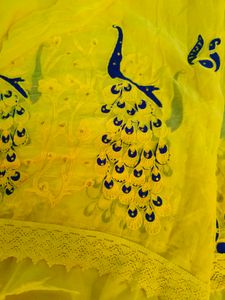 New Saree With Blause