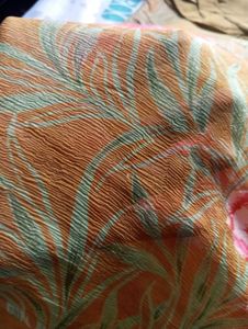 Sari With Blouse