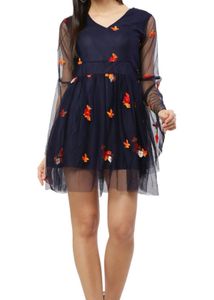 Floral Embroidered Tulle Mini Dress
