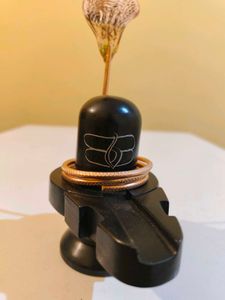 Black Marble Shivling Kashi Vishwanath Banaras