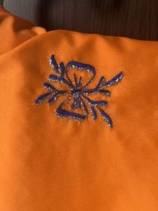 Beautiful Orange Saree