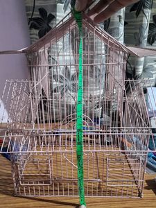 Bird Cage