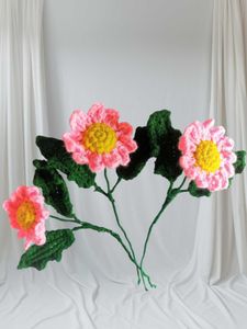 Crochet Daisy Flowers
