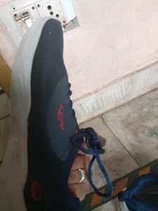 Branded Lancer Shoes For Men
