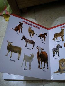 All In One Big Board Book