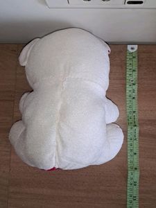 Small Teddy Bear