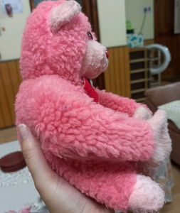 Combo Of 2 Soft Toys