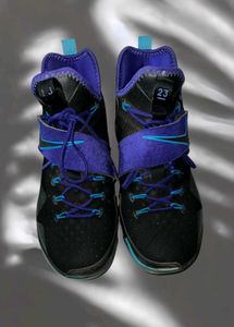 Nike LeBron James 23 OG