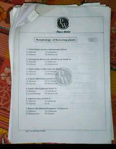 Physicswallah DPP of Previous Year YAKEEN UMEED ..
