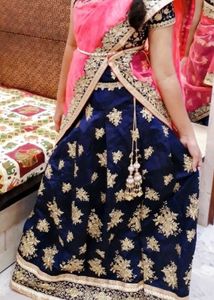 Elegant Blue &amp; Pink Lehenga
