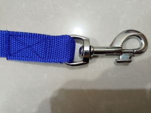 Leash For Dogs , Puppy , Cats