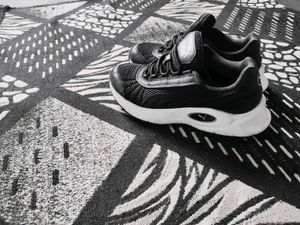 Puma X Ray