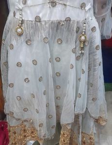 Elegant Dupatta