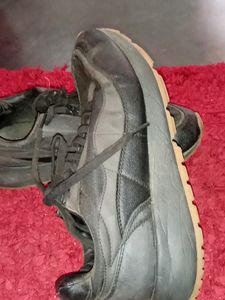 Zara Shoe