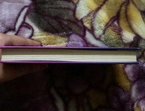 Diary Of A Wimpy Kid: The Melt Down