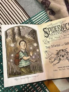 Children&#39;s Book Set: Narnia &amp; Spiderwick Chronicle