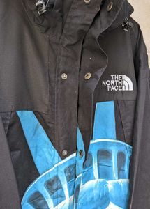 Supreme TNF Statue of Liberty Jacket