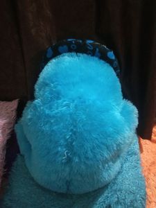 Teddy Bear Sale..!! 💥💥