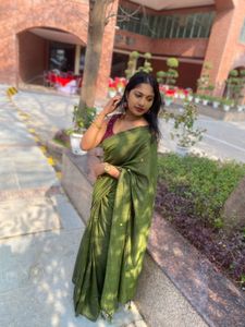 Green Mirror Work Saree