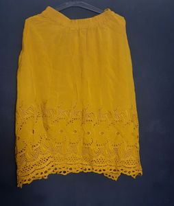 Schiffli Embroidered Mustered Georgette SKirt