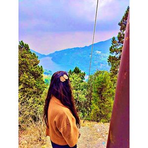 Mustard Yellow Knit Top