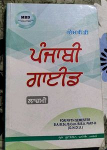 MBD Punjabi Guide