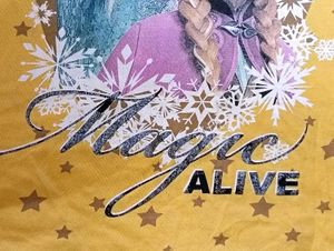 Frozen Elsa &amp; Anna Long Sleeve Top