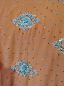Elegant Embellished Saree