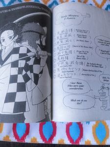 Demon Slayer Manga Vol.1