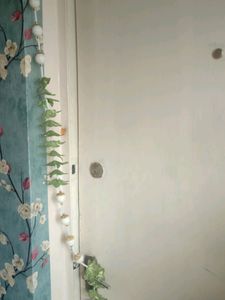Toran Combo Home Decor
