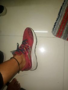 Adidas Shoes