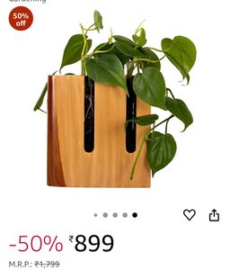 Wall Hanging Planter Eco wood