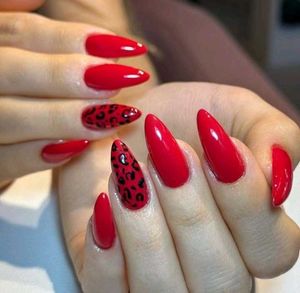 Animal Print Press On Nails 🤎🧿