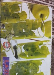 Lazer International Glass